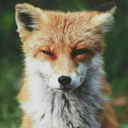 billygoatbill avatar