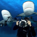 billyherringtonjr avatar