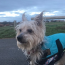 billykiwicorcoran avatar