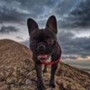 bimbitaminina avatar