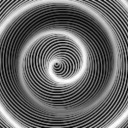 bimbo-trainer69 avatar