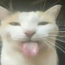 bin4ry0ld7ree avatar