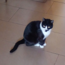 binarycreator avatar