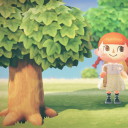 bingsu-crossing avatar