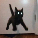 bingusbeast173 avatar