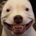 bingusbonguswithoutdepression avatar