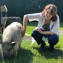 binka42069100 avatar