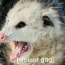 binxanonymous avatar