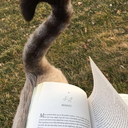 binxisagoodboy avatar