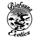 biofaunaexotics avatar