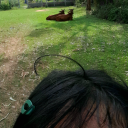biologier avatar