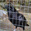 biologist-with-a-blog avatar