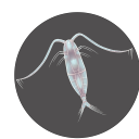 biotopiablog avatar