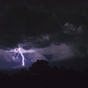 bipolar-bear-thoughts avatar