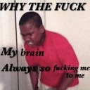 bipolarbearborderlion avatar