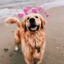 bipolaridadelevelmil avatar