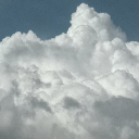 bipolarity-waves-back avatar