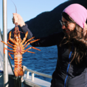 bippityboppityboo avatar