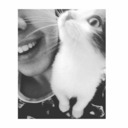 biraptalingunlugu avatar