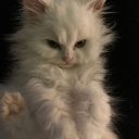 birazdeliyatarim avatar