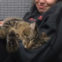 birazoylebirazboyle avatar