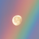 birbardaknescafe avatar