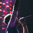 birbinator5000 avatar