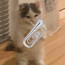 birbisunmasking avatar