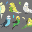 birbs-luv-herbs avatar