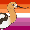 bird--brained avatar