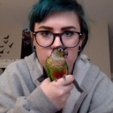 bird-blogging avatar