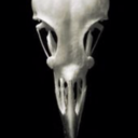 bird-brained-burglar avatar