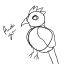 bird-of-no-feathers avatar