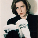 bird-on-a-beam avatar