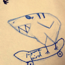 bird-shark avatar