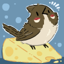 birdcheese avatar