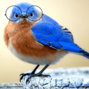 birdhouseblog25 avatar