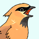 birdingboy avatar
