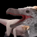 birdinos avatar