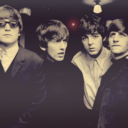 birdlawcertified avatar