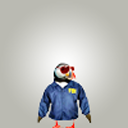 birdmacklin avatar