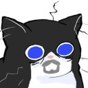 birdmanbirdplan avatar