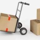 birdoisabadbitch avatar