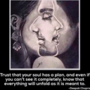 birds-collide avatar