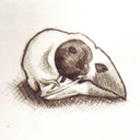 birds-n-bones avatar