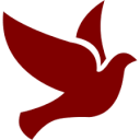 birds-of-all-kinds avatar