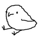 birds12-blog avatar