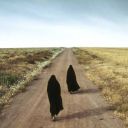 birdunyayolcusu avatar