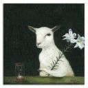 birdwatcher-today avatar