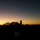 birdwithnoperch avatar